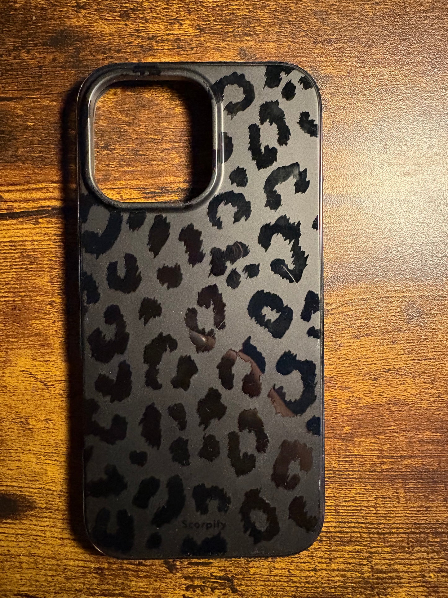 iPhone 16 pro max cases