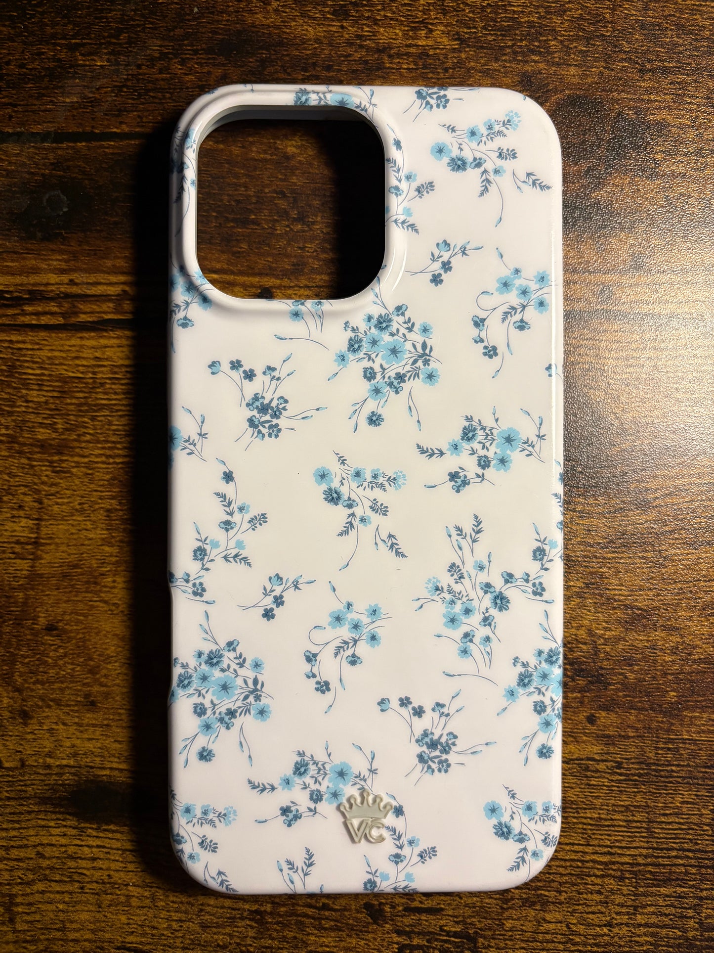 iPhone 16 pro max cases