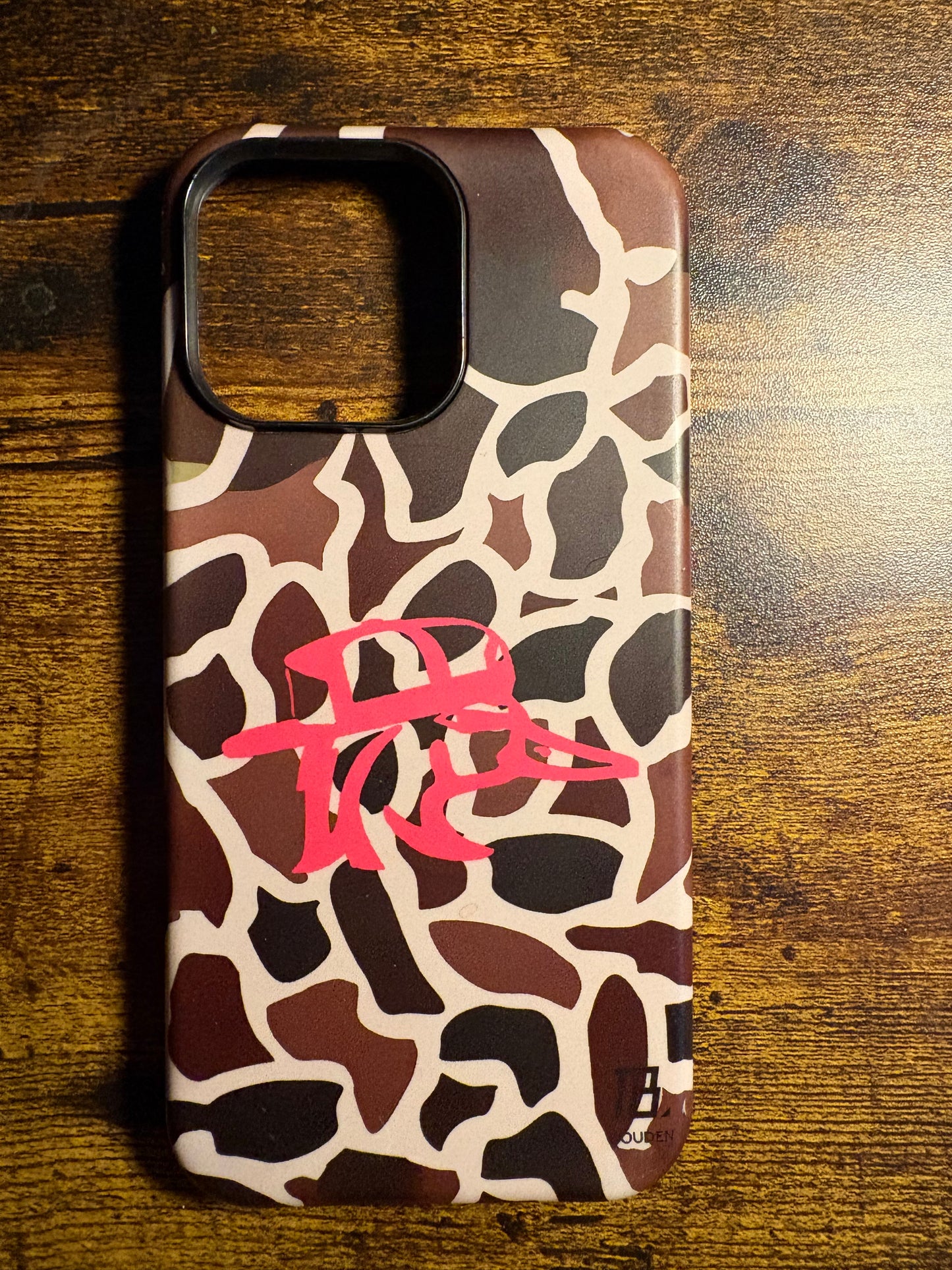 iPhone 16 pro max cases