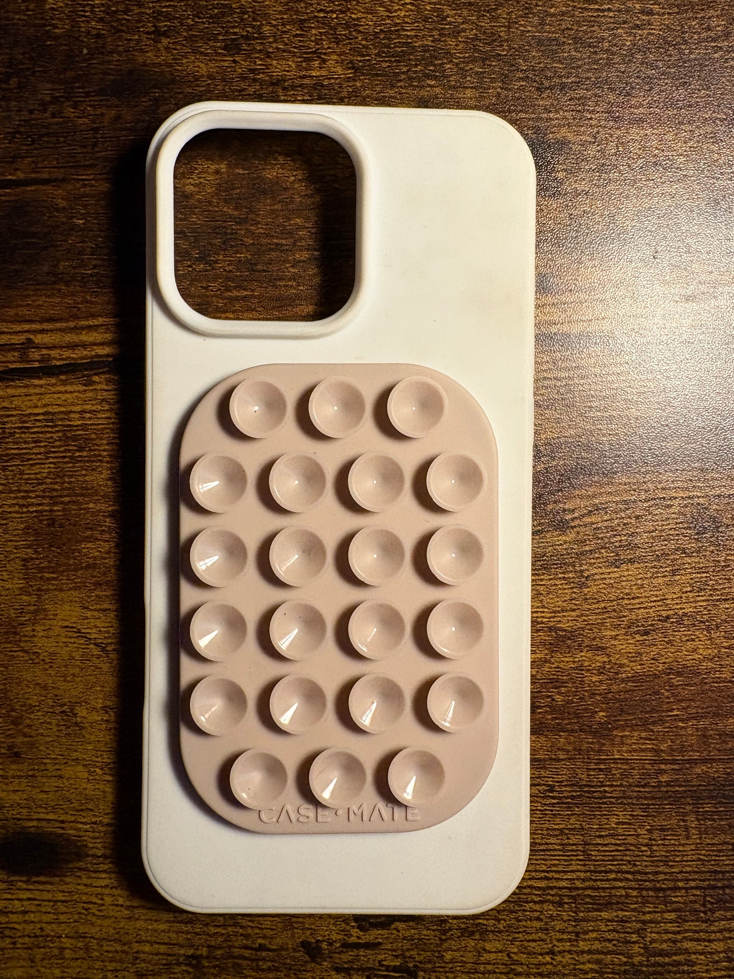 iPhone 16 pro max cases